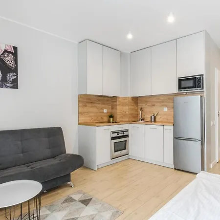 Goldaparts Centrum 아파트